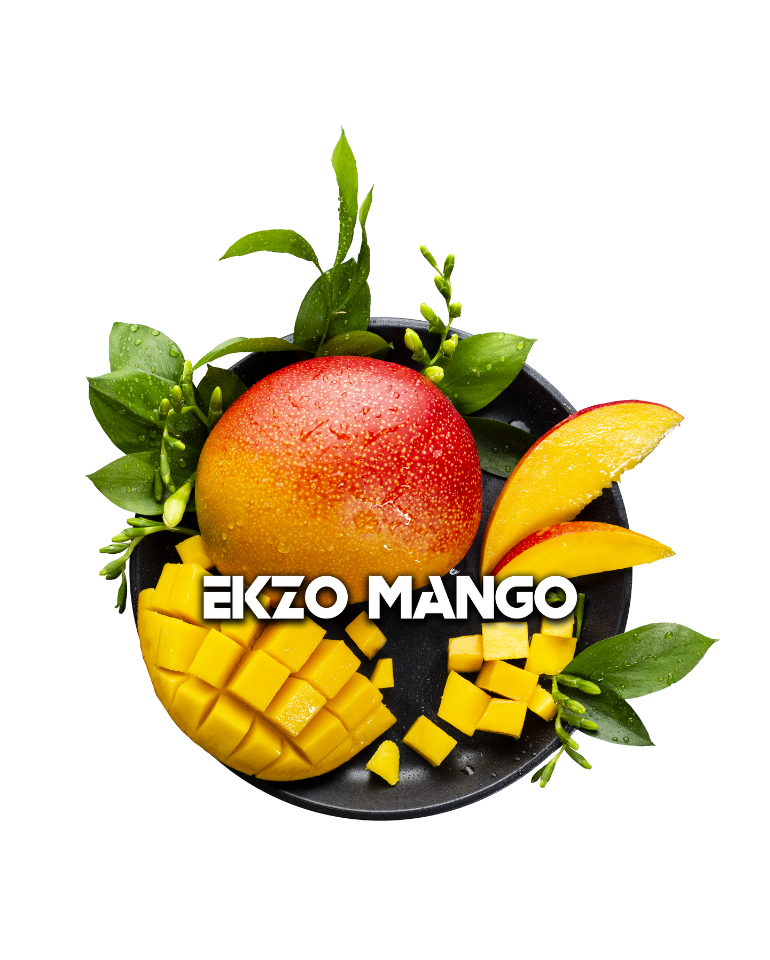 Blackburn Ekzo Mango (2)